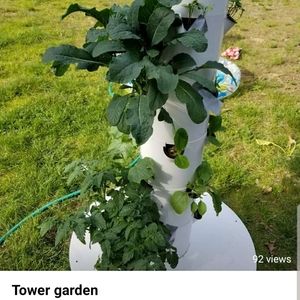 Aeroponic tower garden